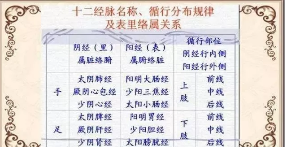 十二经络名称为什么要这样命名?明白也就不难找穴位了 十二经络名称为什么要这样命名?明白也就不难找穴位了