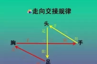 十二经络名称为什么要这样命名?明白也就不难找穴位了 十二经络名称为什么要这样命名?明白也就不难找穴位了