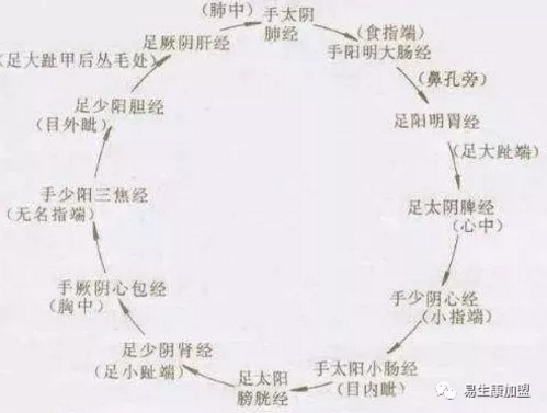 十二经络名称为什么要这样命名?明白也就不难找穴位了 十二经络名称为什么要这样命名?明白也就不难找穴位了