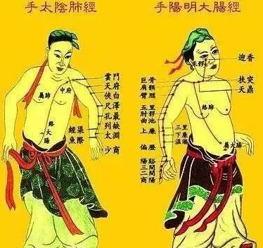 十二经络名称为什么要这样命名?明白也就不难找穴位了 十二经络名称为什么要这样命名?明白也就不难找穴位了