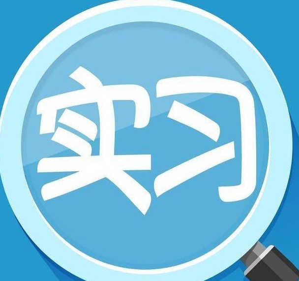 顶岗实习心得 顶岗实习心得