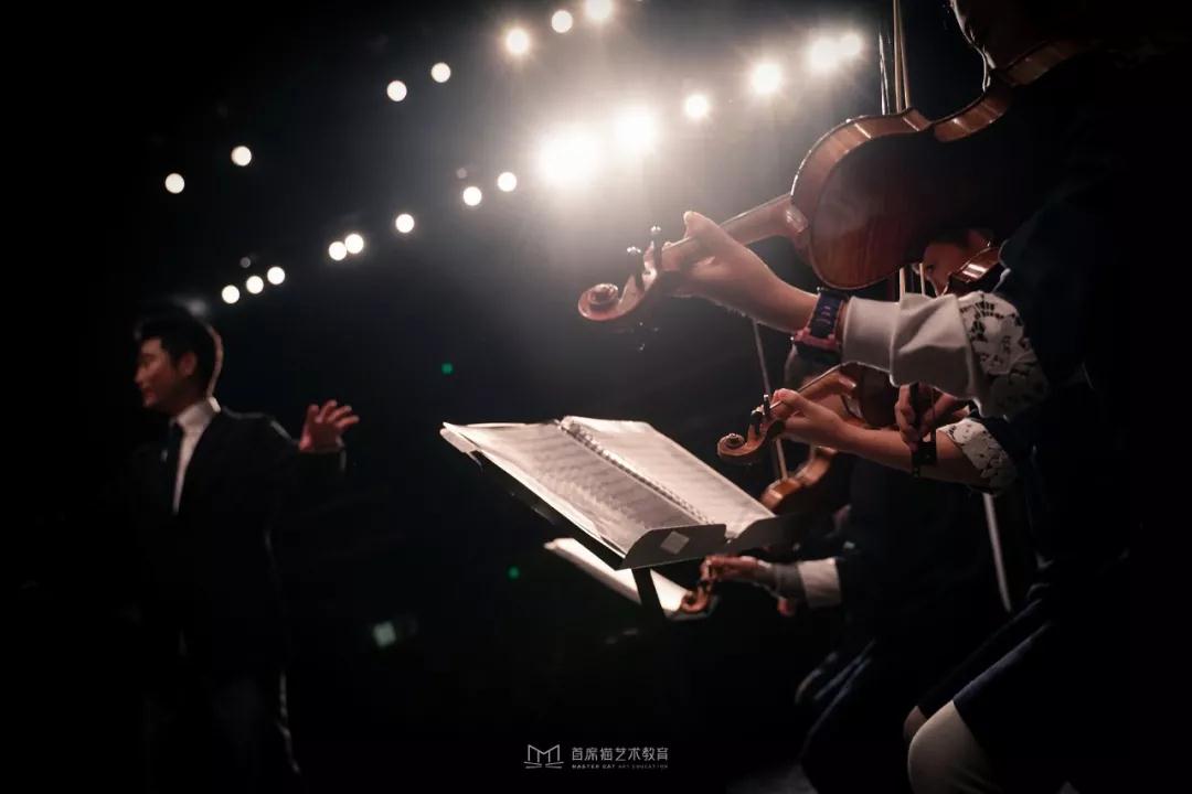 记录2019首席猫演出丨铭记每一个闪耀的舞台瞬间 记录2019首席猫演出丨铭记每一个闪耀的舞台瞬间