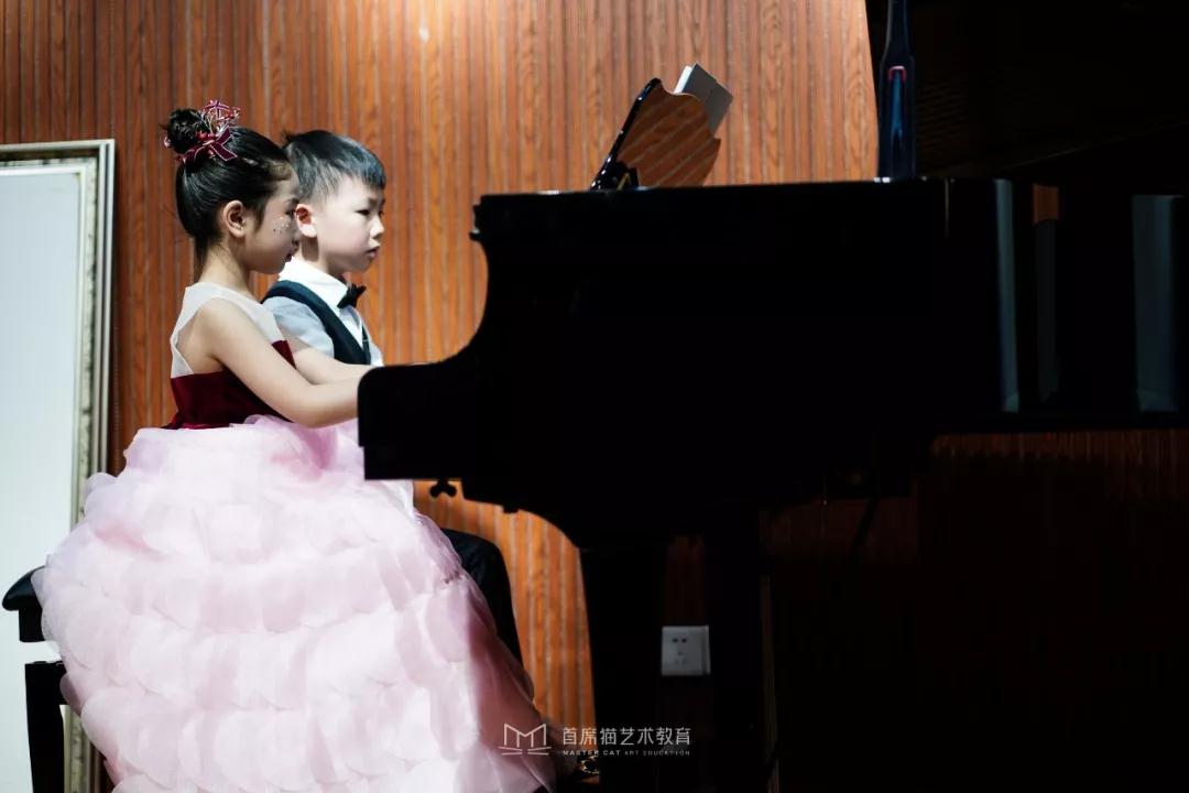 记录2019首席猫演出丨铭记每一个闪耀的舞台瞬间 记录2019首席猫演出丨铭记每一个闪耀的舞台瞬间