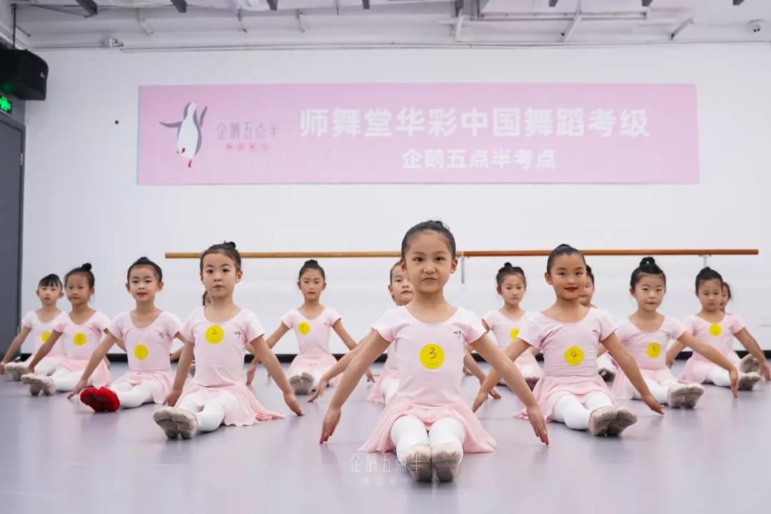 记录2019首席猫演出丨铭记每一个闪耀的舞台瞬间 记录2019首席猫演出丨铭记每一个闪耀的舞台瞬间