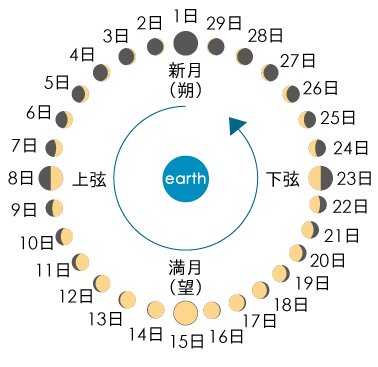 今年2月有29天...这些关于历法的知识点讲给孩子听听吧 今年2月有29天...这些关于历法的知识点讲给孩子听听吧
