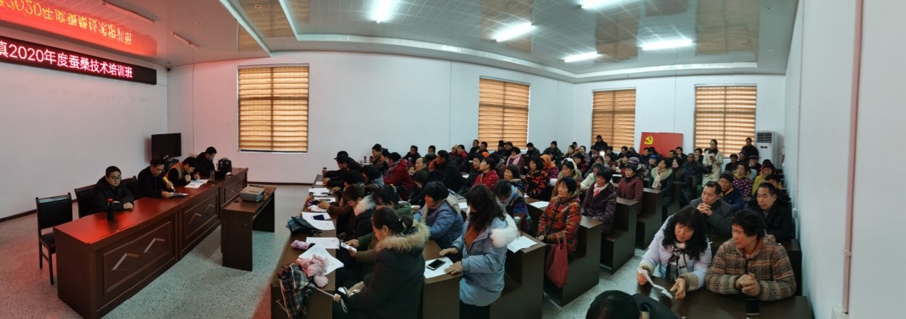 蚕桑新技术培训会在连云港市赣榆区举行 蚕桑新技术培训会在连云港市赣榆区举行