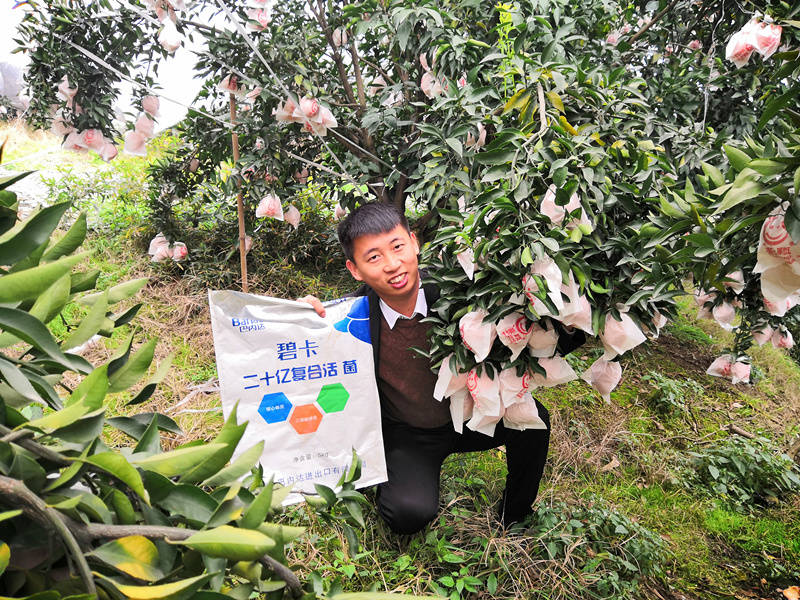 微生物菌剂如何混用？