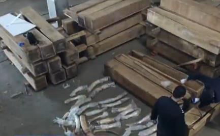 海关总署:2019年立案侦办走私犯罪案件4198起 海关总署:2019年立案侦办走私犯罪案件4198起
