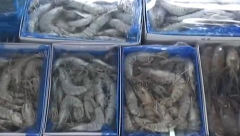 海关总署:2019年立案侦办走私犯罪案件4198起 海关总署:2019年立案侦办走私犯罪案件4198起