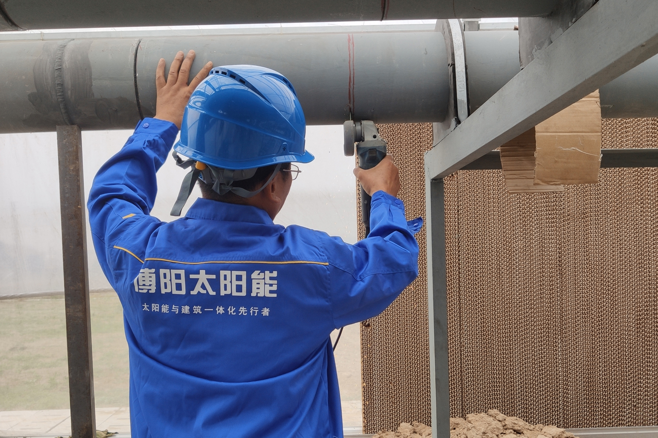 上海农林职业技术学院多能互补能源系统交付使用