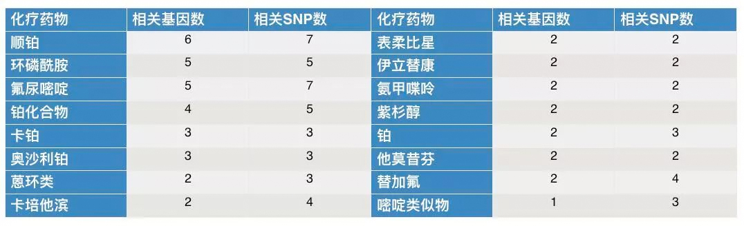 仅仅大而全? NGS大panel没你想的那么简单 仅仅大而全? NGS大panel没你想的那么简单