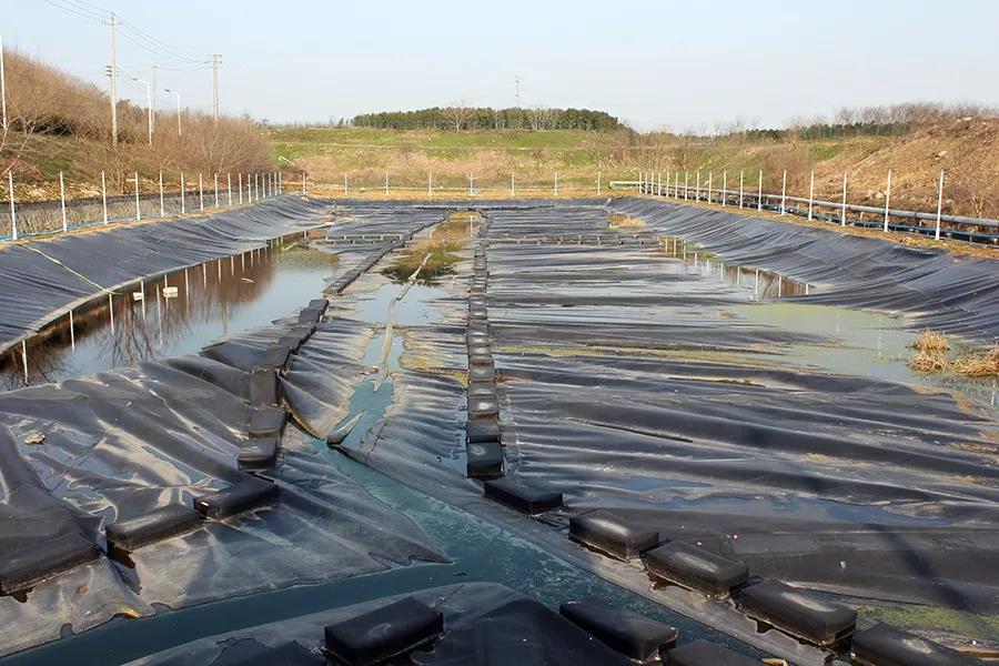 垃圾填埋场除臭剂技术分析 垃圾填埋场除臭剂技术分析