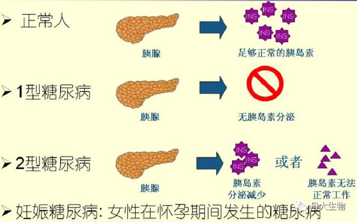 一,糖尿病分型>遊離脂肪酸與糖尿病關係圖本公司戒全系列生化試劑產品