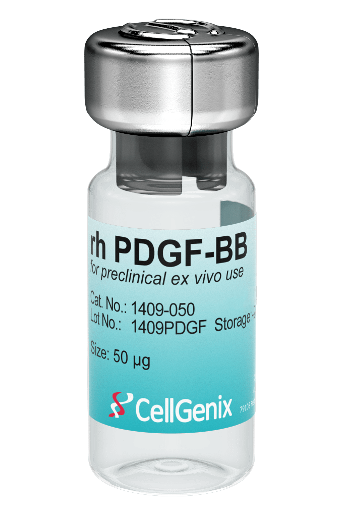 Preclinical rh PDGF-BB