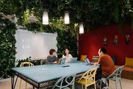 办公植物租赁的5大趋势 办公植物租赁的5大趋势