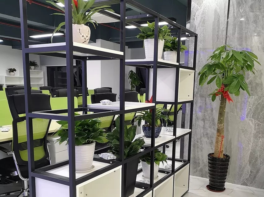 植物租赁方案一 植物租赁方案一