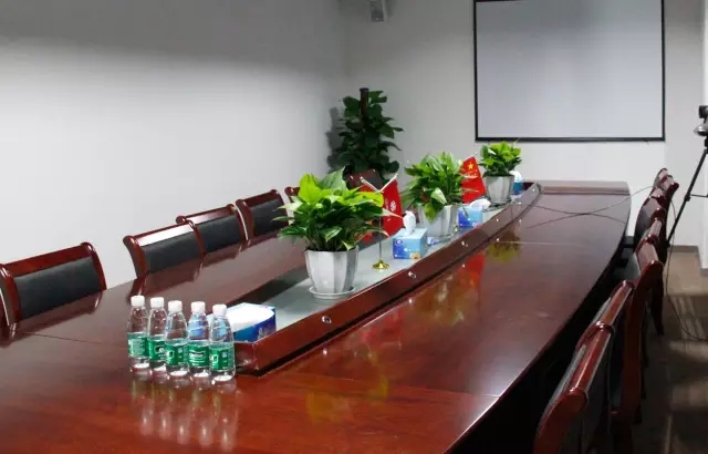 租什么绿化植物适合办公室 租什么绿化植物适合办公室