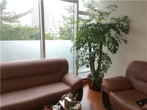 租赁不再是简单的摆放 租赁不再是简单的摆放