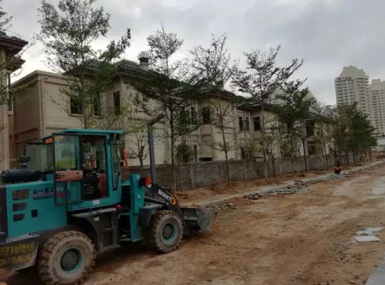 小区绿化施工 小区绿化施工