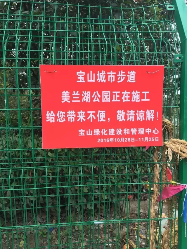 上海罗店公园 上海罗店公园
