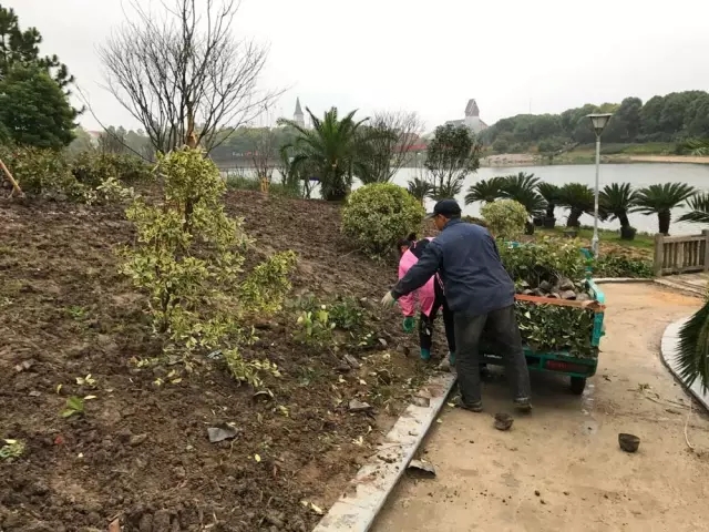 上海罗店公园 上海罗店公园