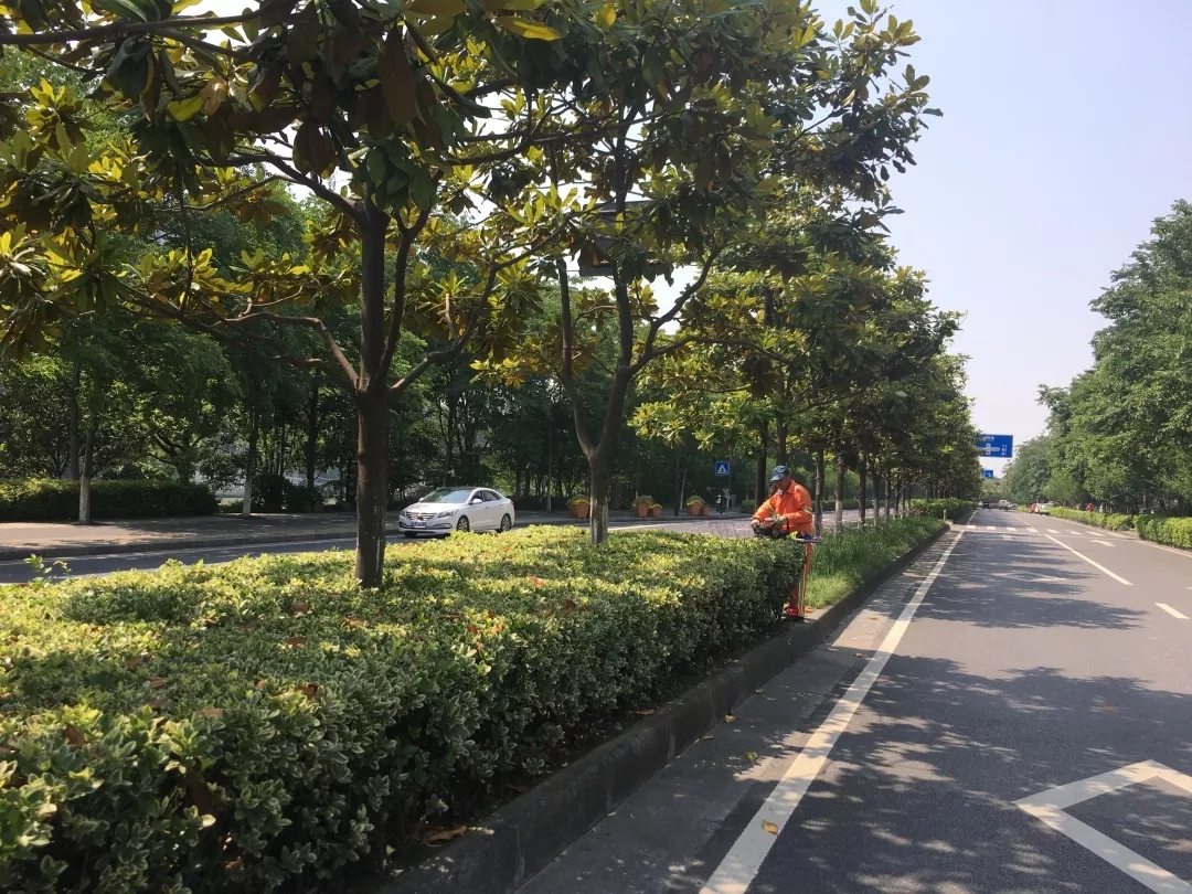 绿化养护工作 绿化养护工作