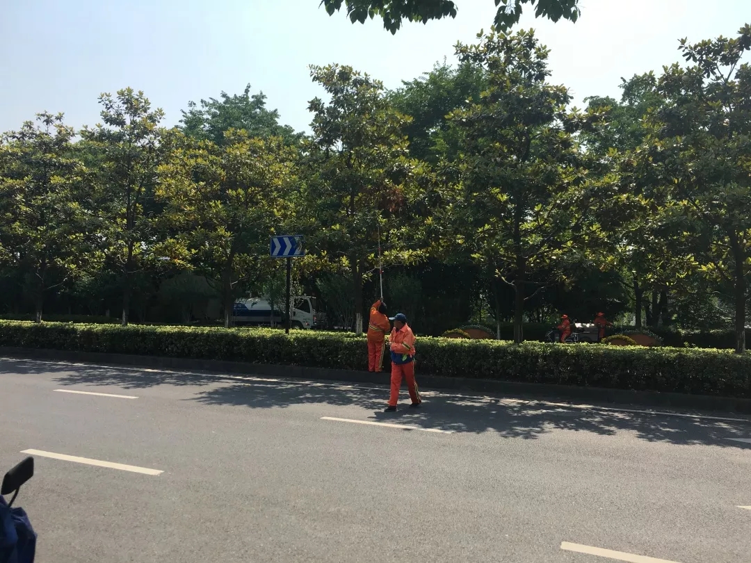 绿化养护工作 绿化养护工作