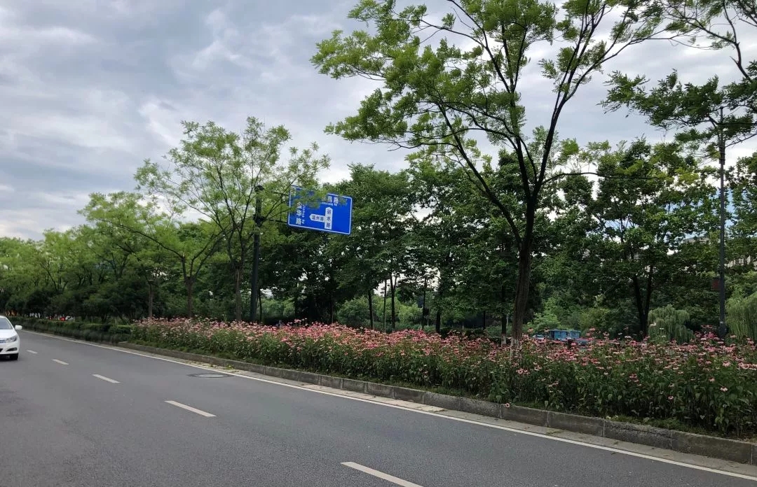 绿化养护工作 绿化养护工作