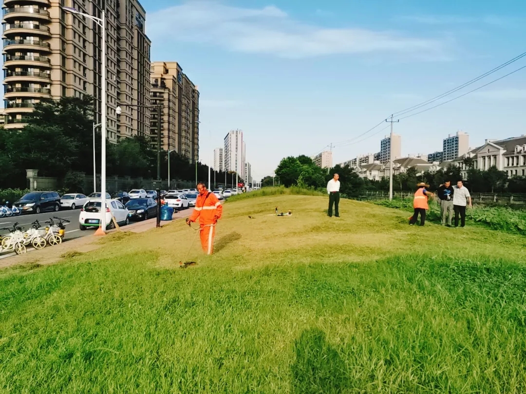 绿化养护工作 绿化养护工作