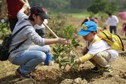 小区物业绿化养护管理 小区物业绿化养护管理