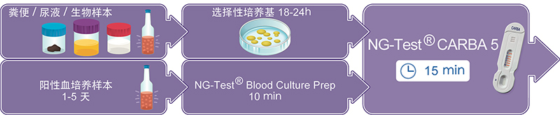 NG-Test® CARBA 5 碳青霉烯酶检测试剂盒(胶体金免疫层析法) NG-Test® CARBA 5 碳青霉烯酶检测试剂盒(胶体金免疫层析法)