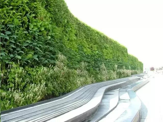 典型垂直绿化设计 典型垂直绿化设计