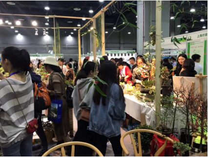 三月花城艳,邀客来赏花 2020亚洲花卉产业博览会新闻发布会广州举办 三月花城艳,邀客来赏花 2020亚洲花卉产业博览会新闻发布会广州举办