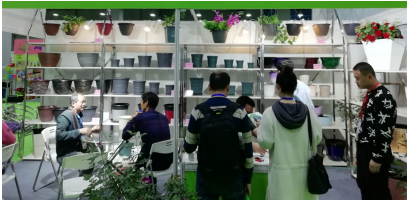 三月花城艳,邀客来赏花 2020亚洲花卉产业博览会新闻发布会广州举办 三月花城艳,邀客来赏花 2020亚洲花卉产业博览会新闻发布会广州举办