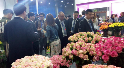 三月花城艳,邀客来赏花 2020亚洲花卉产业博览会新闻发布会广州举办 三月花城艳,邀客来赏花 2020亚洲花卉产业博览会新闻发布会广州举办
