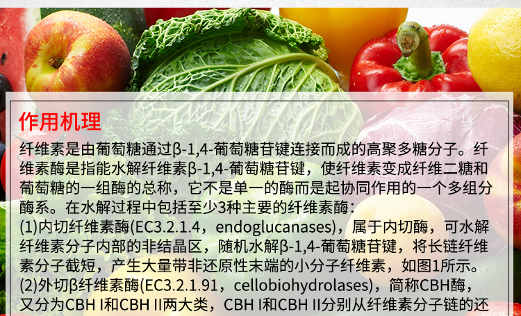 夏盛液体食品级纤维素酶1.1万酶活(淀粉/酿酒生产可用)FDY-2243