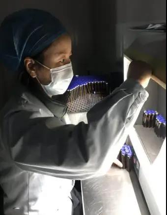 金花戰疫情:若有戰 召必應 責任和愛鼓舞金花人勇敢前行 金花戰疫情:若有戰 召必應 責任和愛鼓舞金花人勇敢前行