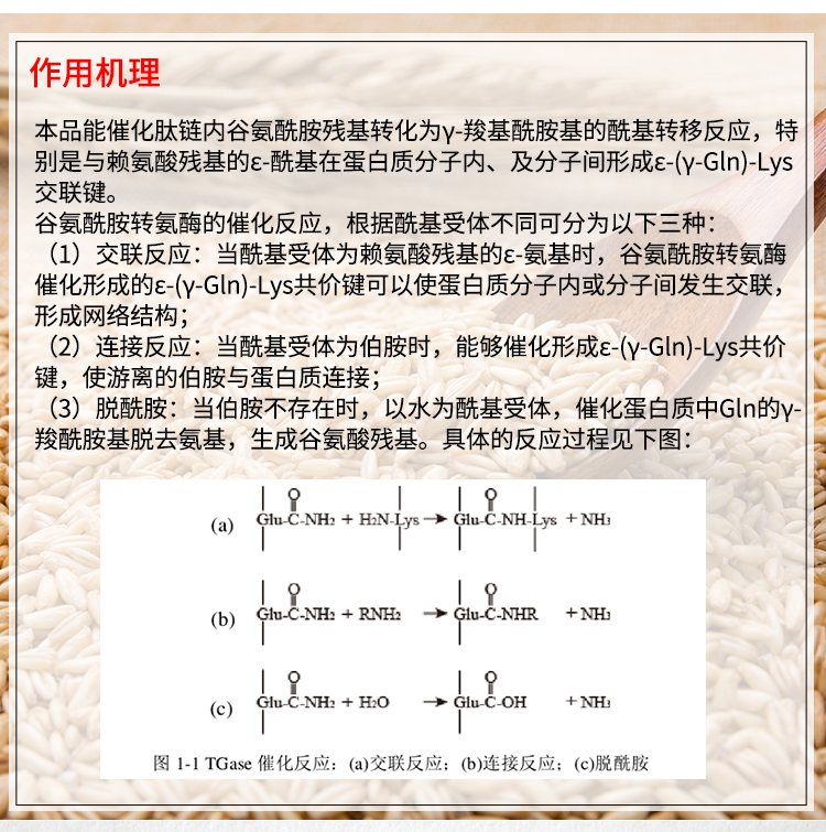 夏盛固体食品级谷氨酰胺转氨酶1000酶活(tg酶/蛋白黏合/肉类黏合)FDG-2210