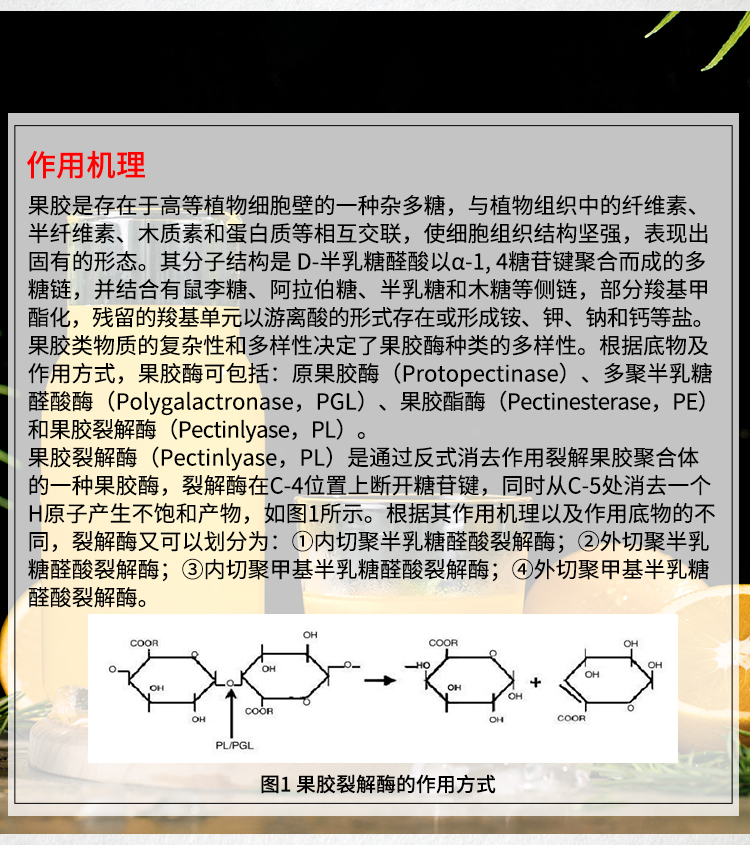 夏盛液体食品级果胶裂解酶600酶活(果蔬汁加工/提高出汁率)FDY-2211