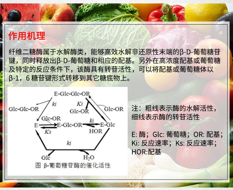 夏盛 食品级纤维二糖酶HL FDY-2242