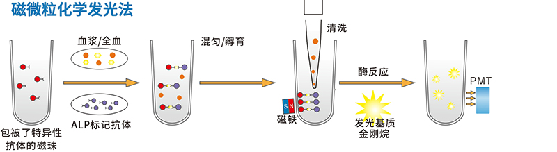 T10+3小型桌面化学发光分析系统 T10+3小型桌面化学发光分析系统