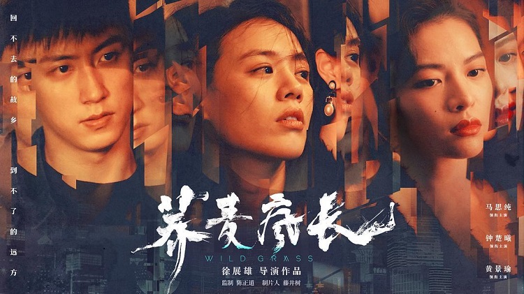 电影投资:岁月肆意,《荞麦疯长》唯有爱与理想值得疯狂 电影投资:岁月肆意,《荞麦疯长》唯有爱与理想值得疯狂