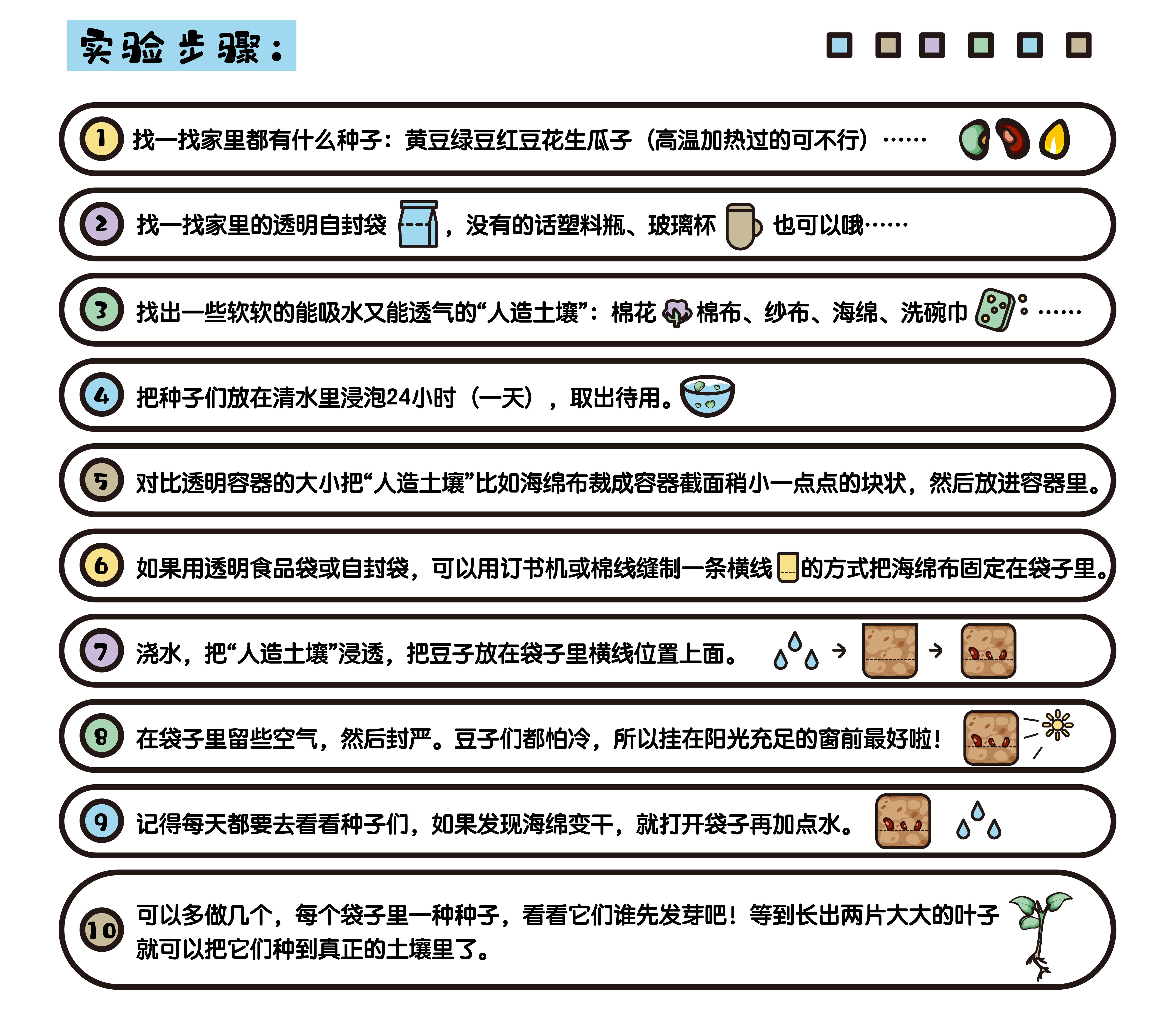 托特科学 | 家庭小活动《豆豆婴儿床——萌芽》