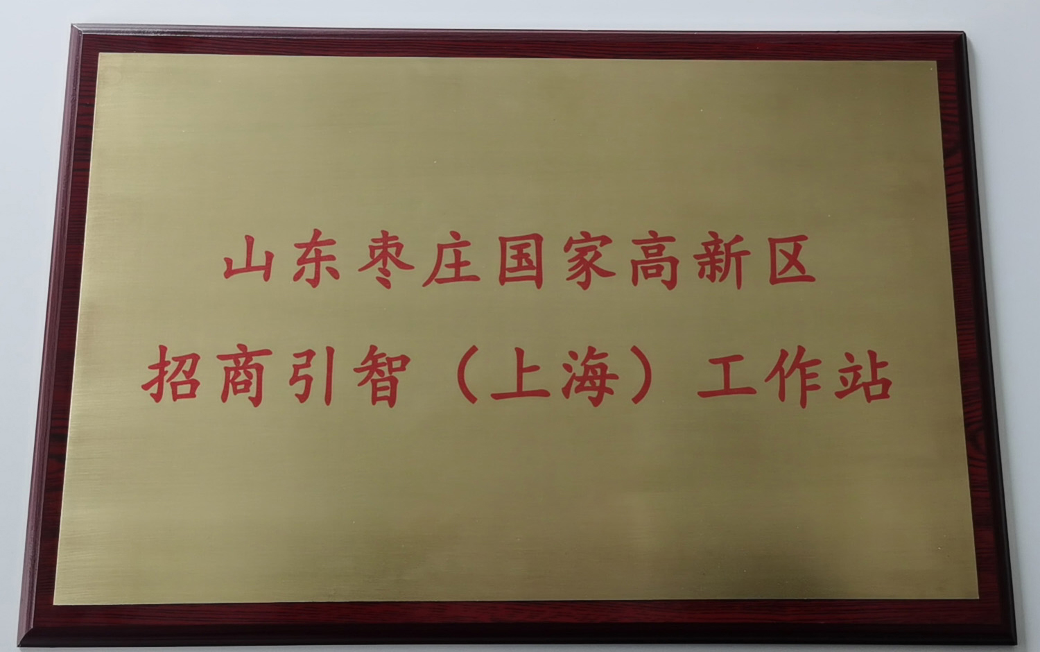 领头鸿雁——枣庄高新区南飞争发展先机