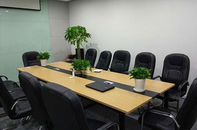 植物租赁方案二 植物租赁方案二