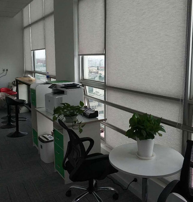 植物租赁方案二 植物租赁方案二