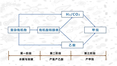 环保水处理,也有一支战之能胜的“菌”队 环保水处理,也有一支战之能胜的“菌”队