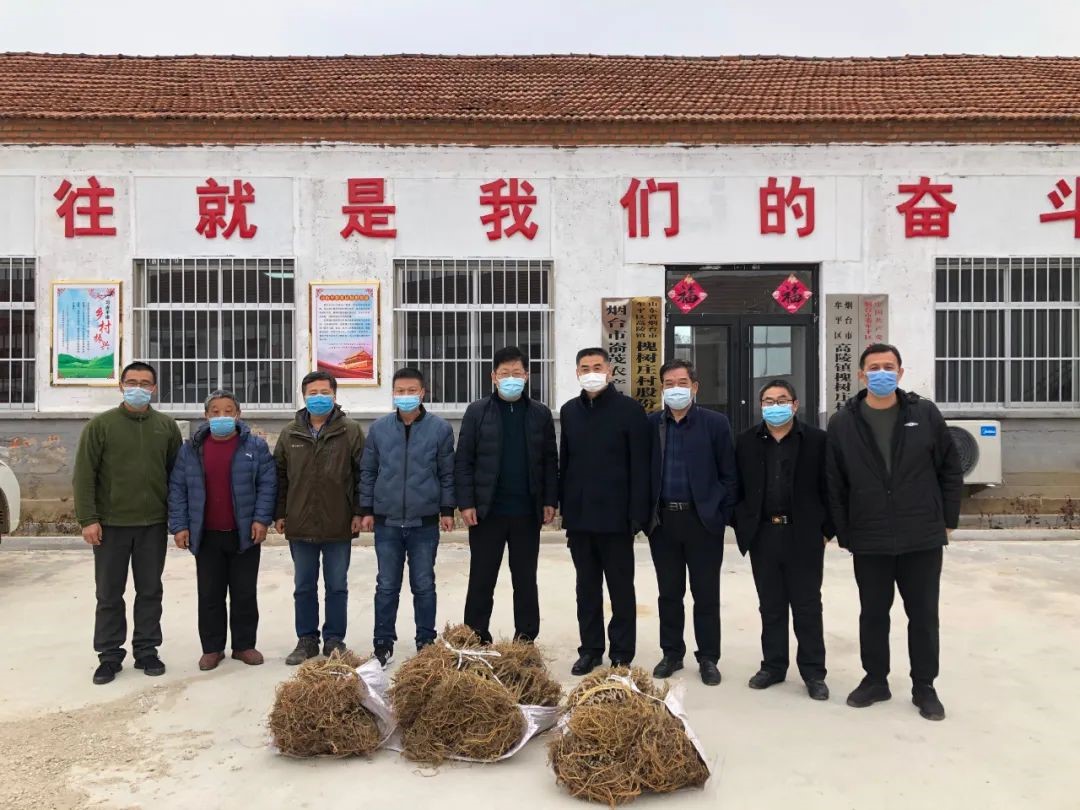 省蚕桑创新团队积极服务第一书记 省蚕桑创新团队积极服务第一书记