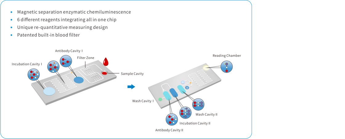 Microfluidic  Chemiluminescence Series