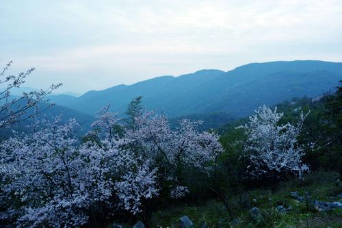 【探索之旅】彭州 葛仙山